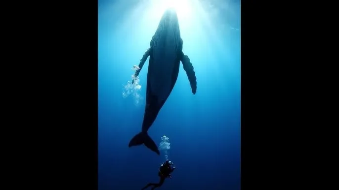 杨戬全民电竞皮肤 - 深蓝星球：探索海洋深处的未知世界